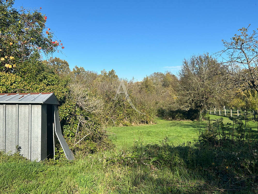 Terrain à CHAILLE-LES-MARAIS