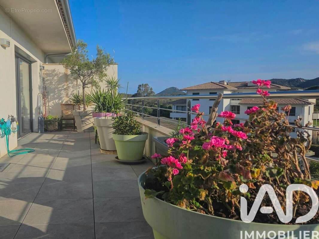 Photo 2 - Appartement à PORTO-VECCHIO