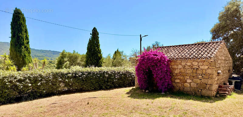 ECCICA-SUARELLA (Corse) : Maison T4, caseddu en pierre, garage, terrain piscinable, vue dégagée - photo 11