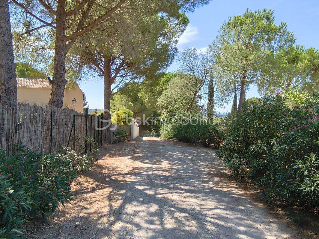 Domaine de 2 hectares - photo 24