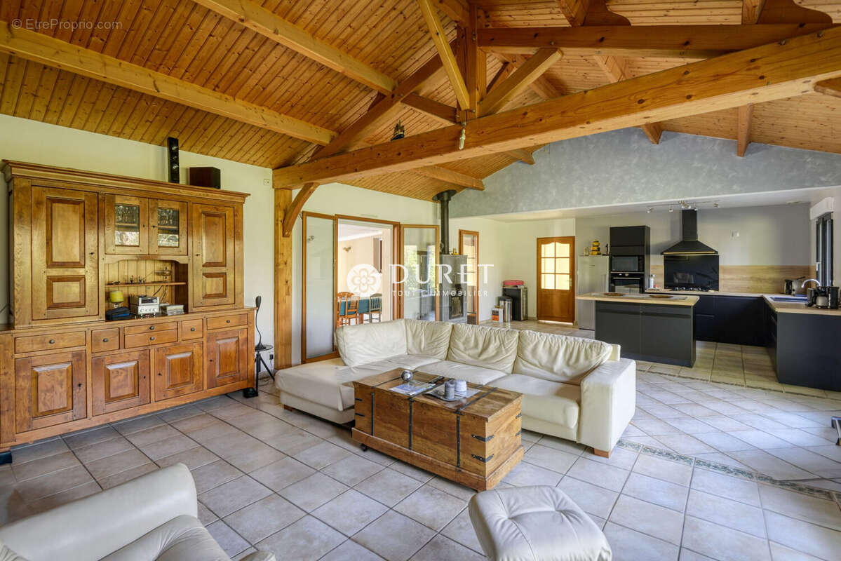 Maison à VIEILLEVIGNE