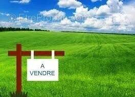 Terrain constructible à st Germain du Puch - photo 2