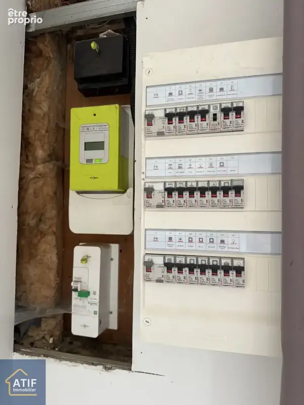 Maison jardin arbore potentiel investisseur - photo 12
