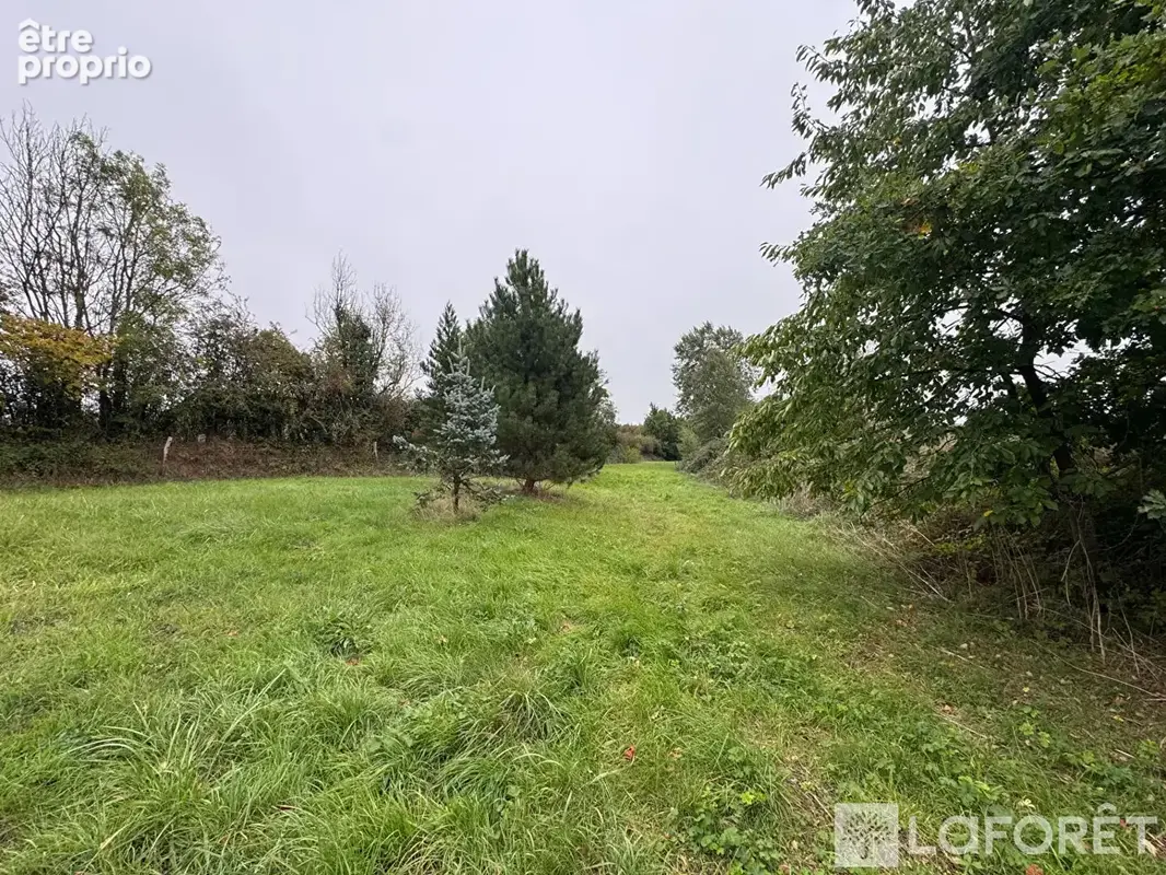 Maison MOULIN LA MARCHE - 3 pièces-71 m² - photo 8