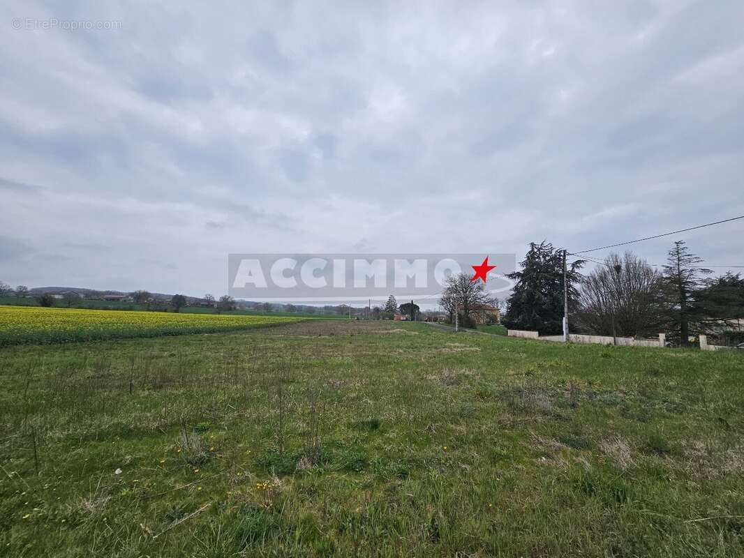 Terrain à MONTDRAGON