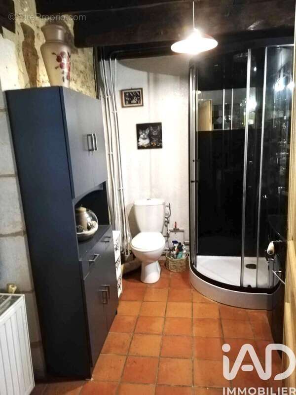 Photo 9 - Maison à SAINT-FELIX-DE-VILLADEIX