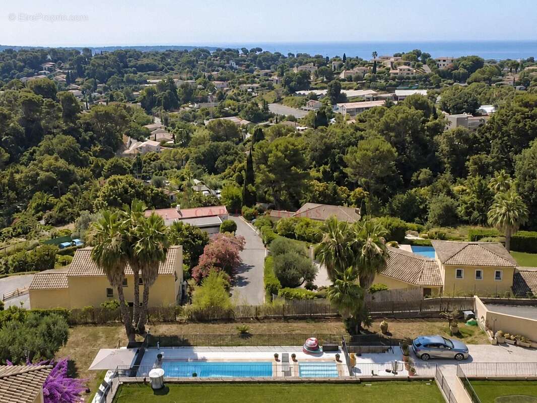 Un Havre de Paix aux Brusquets – Propriété de Prestige avec Piscine sur 19 772 m² de Nature - photo 2