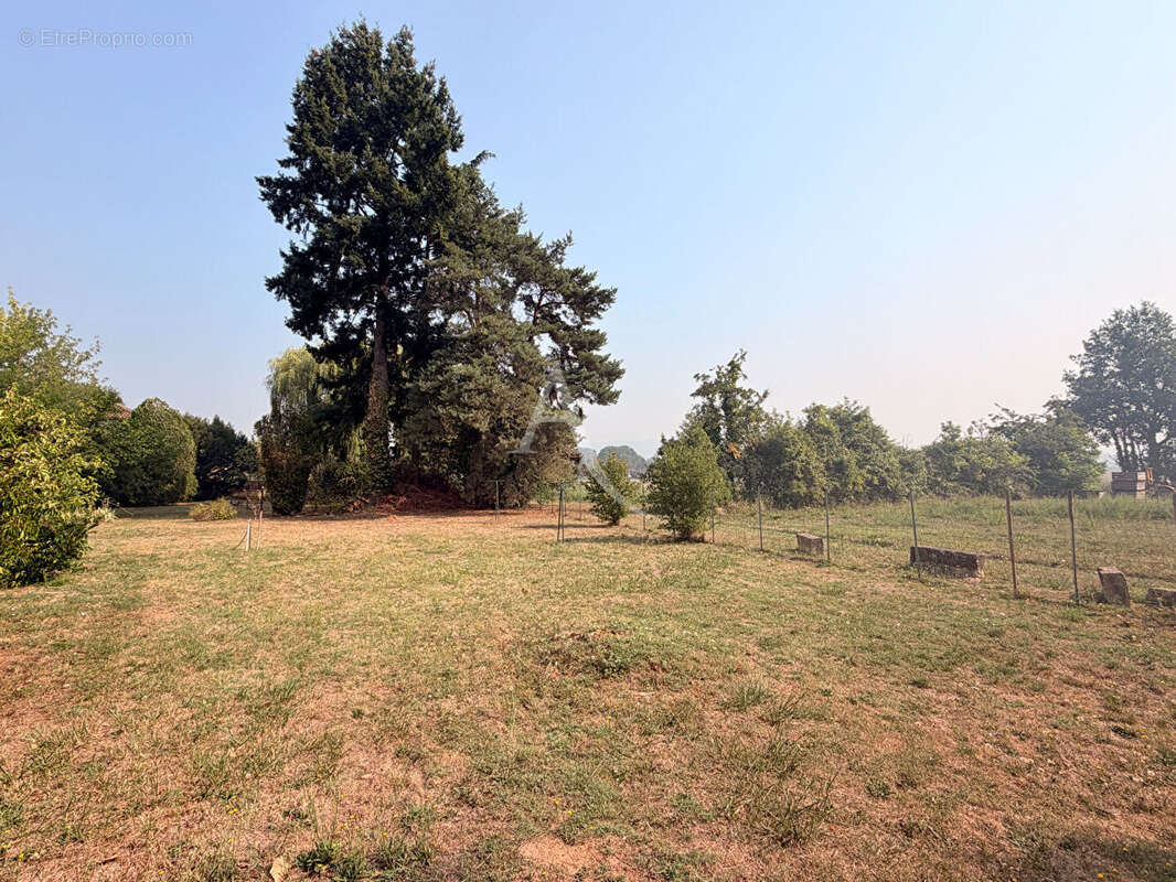 Bel ensemble grande maison, grange et petite maison à rénover, terrain - photo 9