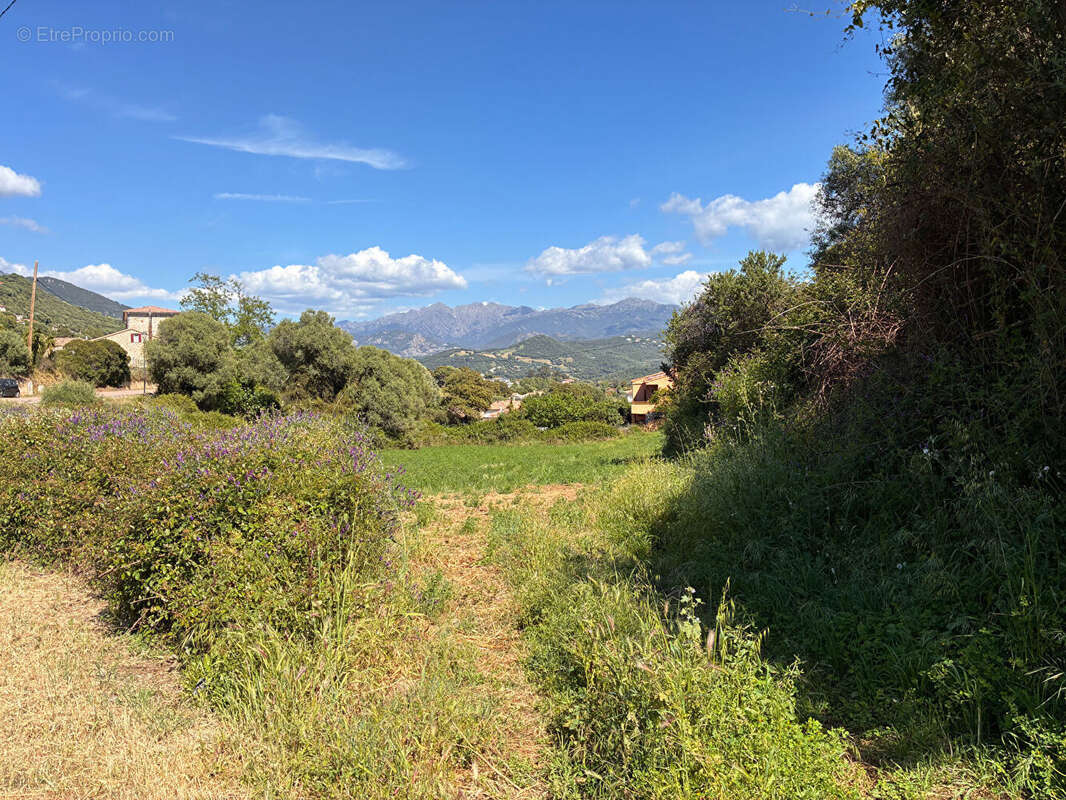 Terrain à BASTELICACCIA