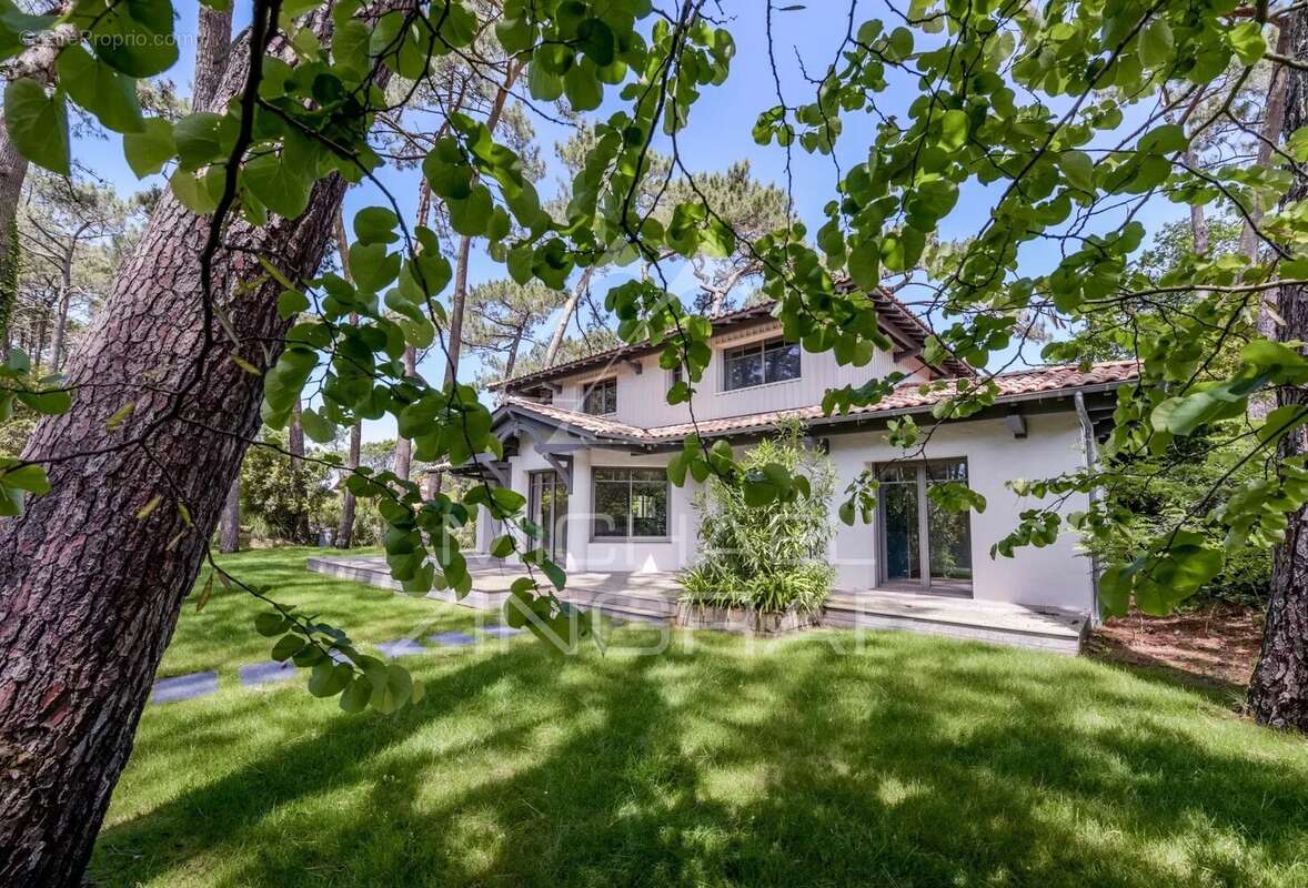 Maison à LE BOUSCAT