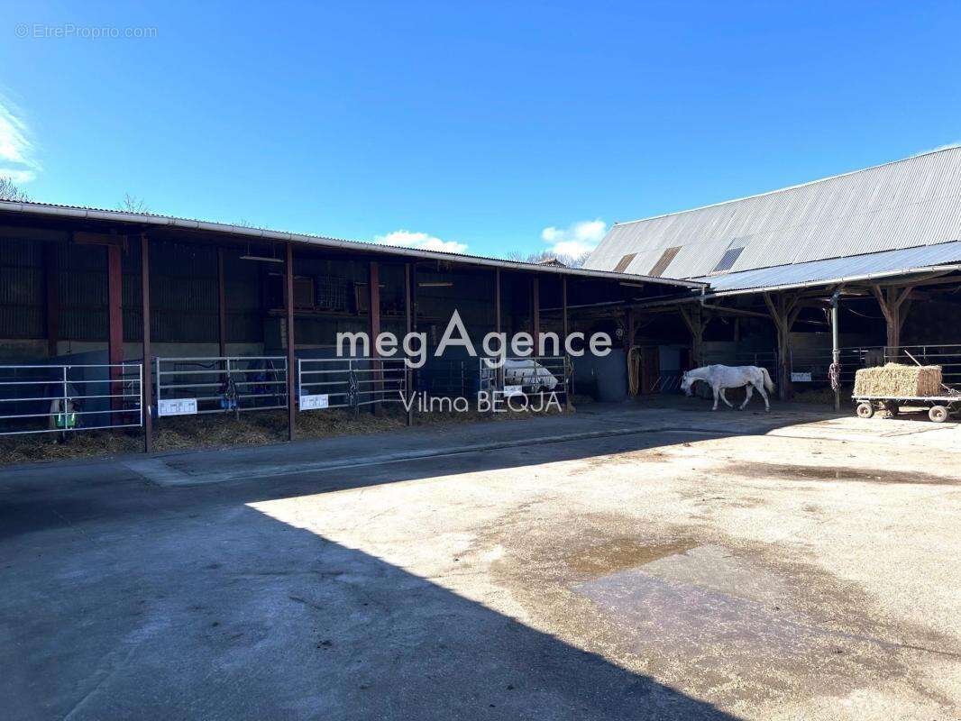 Maison à THORIGNY-SUR-OREUSE