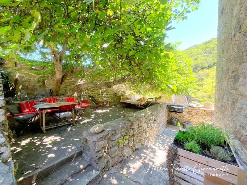 Ancien Moulin en Pierre avec dépendances sur près de 2,3 hectares – Santo-Pietro-di-Tenda - photo 8
