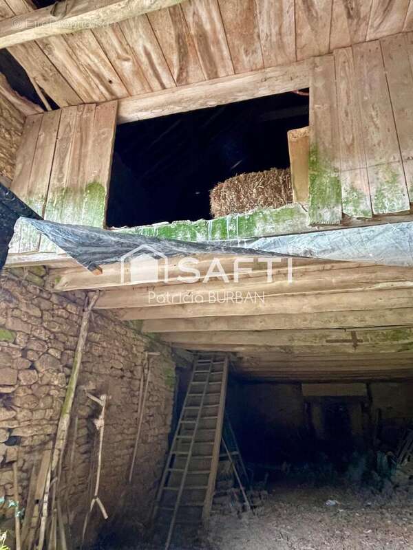 Photo 7 - Maison à ALLAIRE