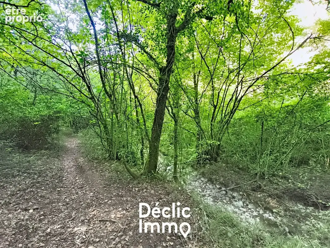 Tourrettes - terrains en bordure de riviere - 3492m2 - photo 4