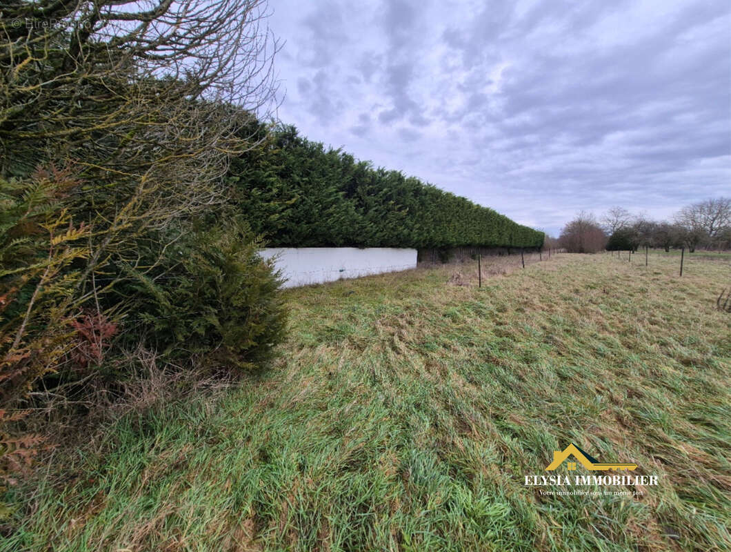Terrain à VALLEROY