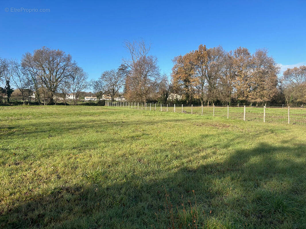 Terrain à SAINT-SULPICE-ET-CAMEYRAC