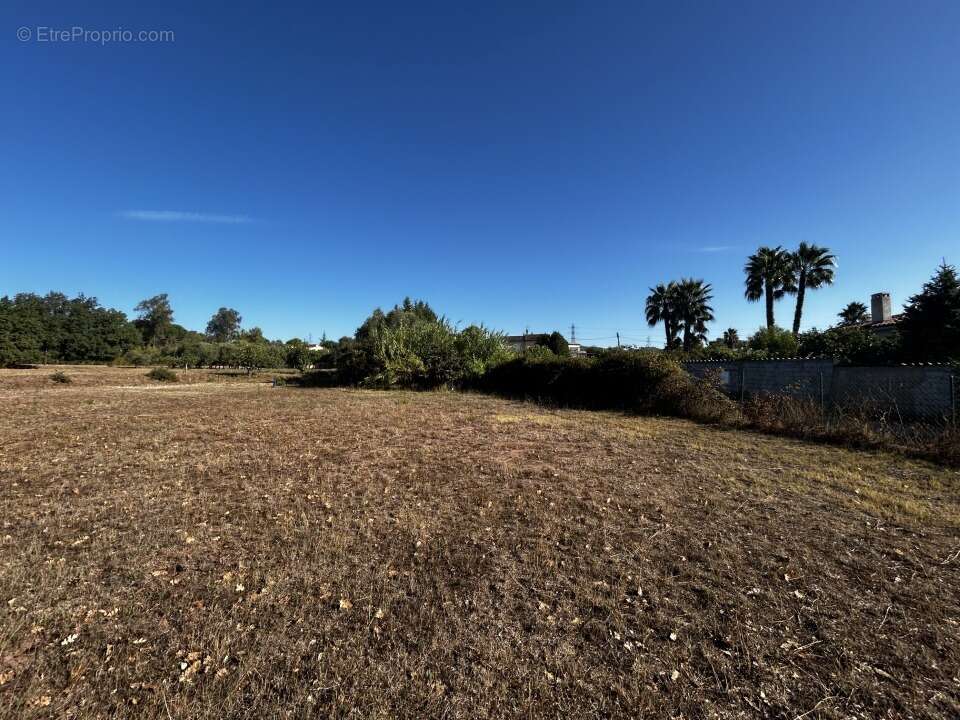 Terrain à PUGET-SUR-ARGENS
