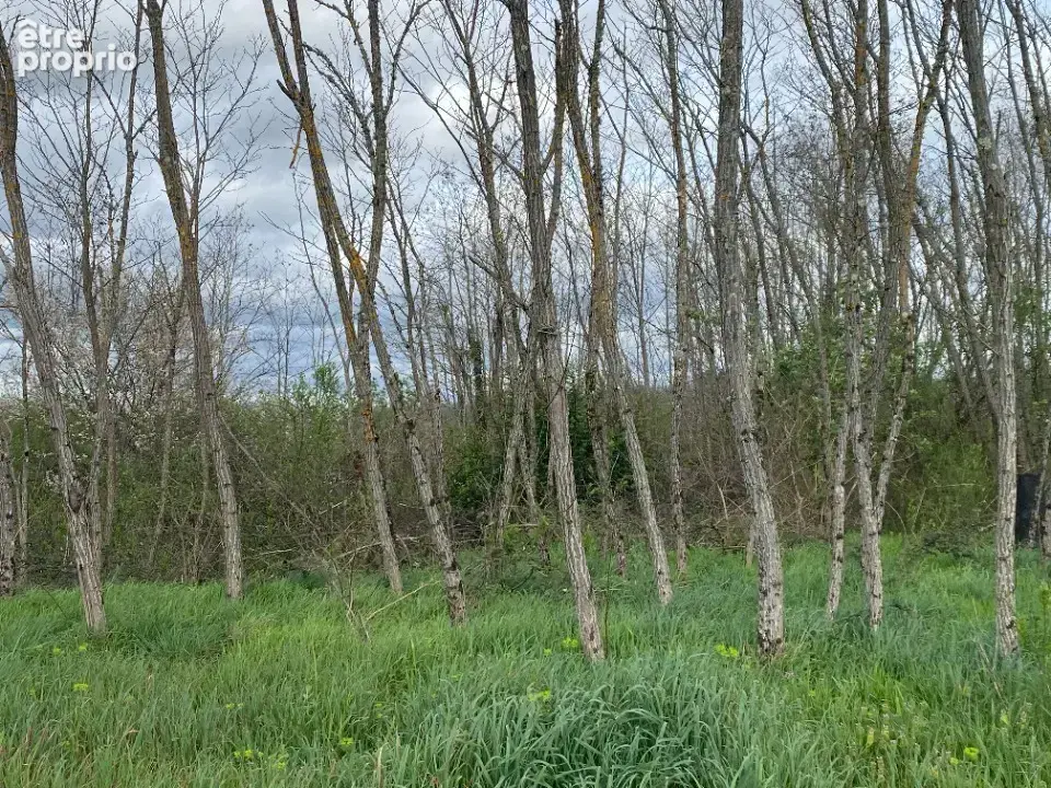 Terrain 605 m² à Pujols-Sur-Ciron  - photo 4