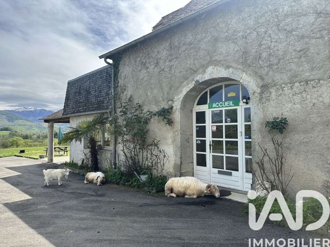 Maison 830 m² à Aramits  - photo 3