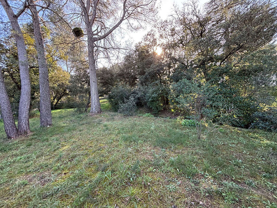 Terrain à AUBAGNE