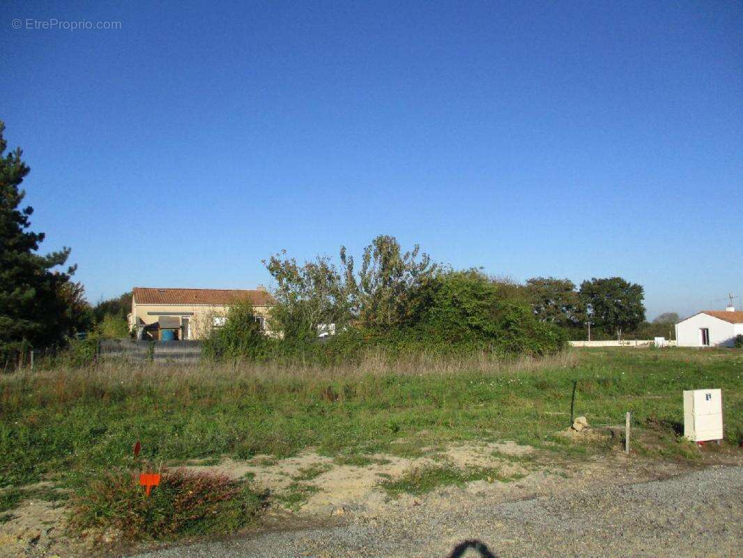 Terrain à SAINTE-FOY