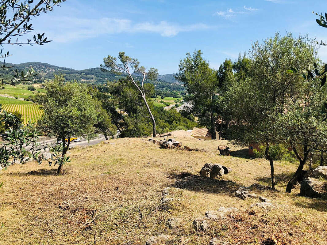 Terrain à LA CADIERE-D'AZUR