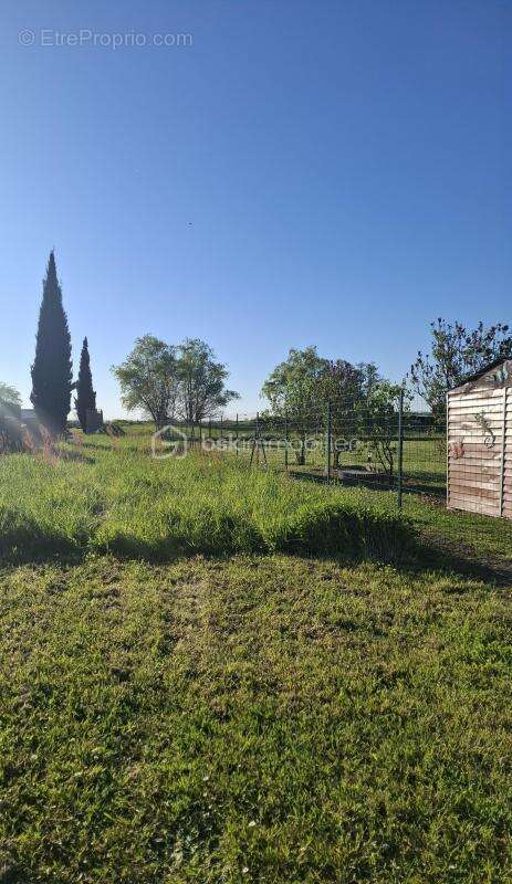 Terrain à bâtir 2055 m² – Flaujagues (33350) - photo 5