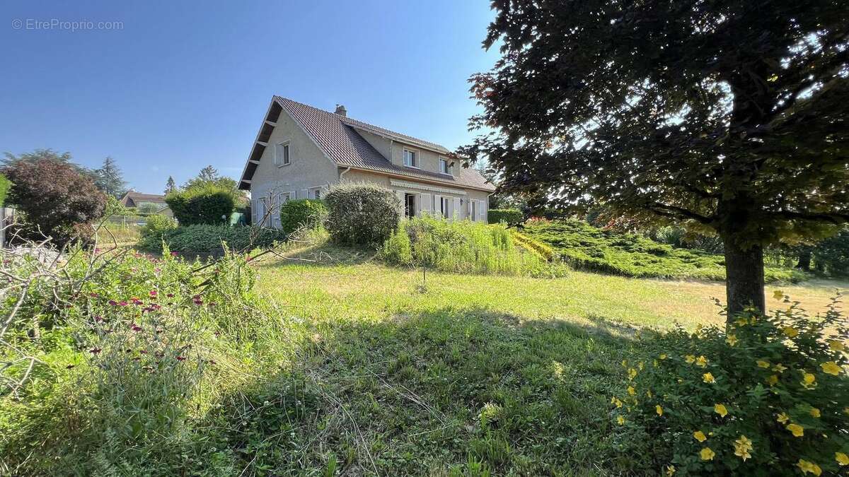 Photo 4 - Maison à LA TOUR-DE-SALVAGNY
