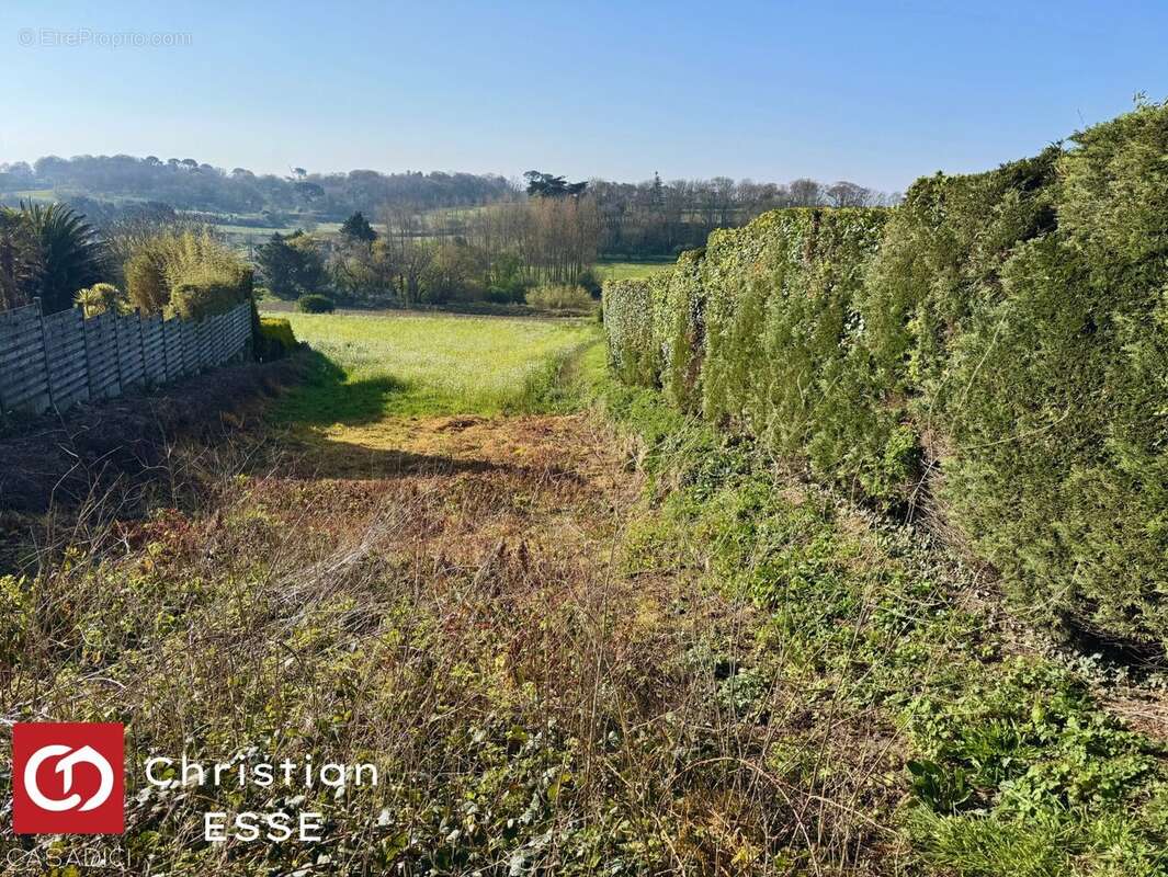 Terrain à SAINT-POL-DE-LEON