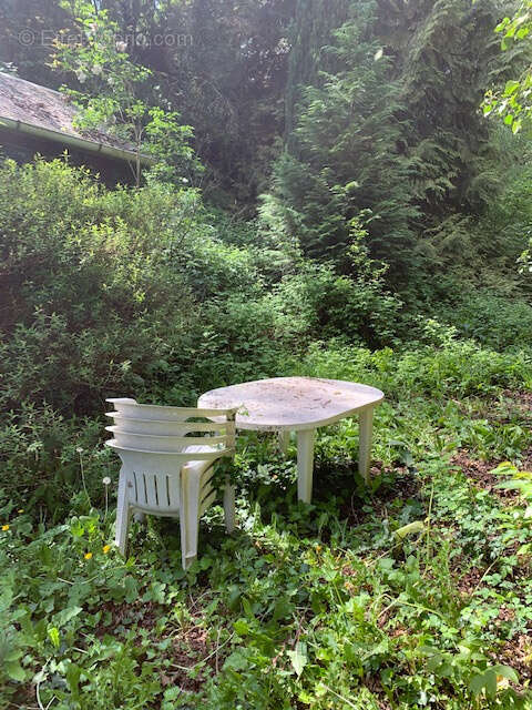 Terrain à AMBRIERES-LES-VALLEES