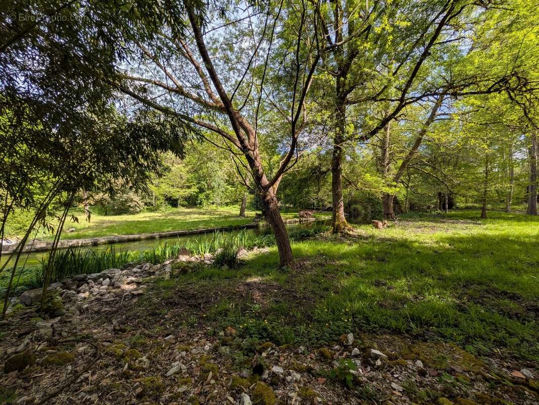 Un Véritable Paradis à 5 minutes de Cognac ! - photo 21