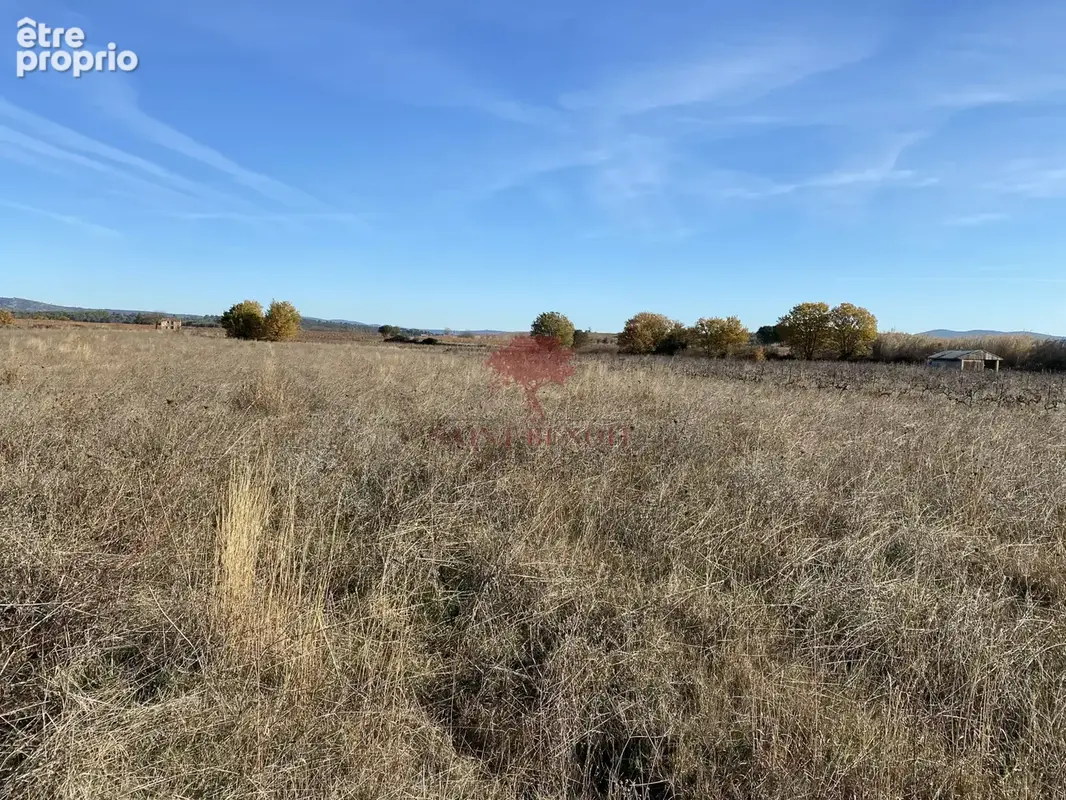 A  vendre terrain agricole de  24 831 m2 - photo 7