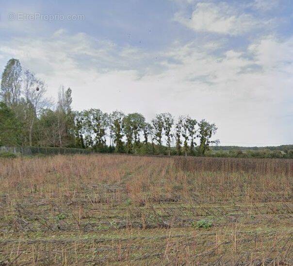 Terrain à ECOYEUX