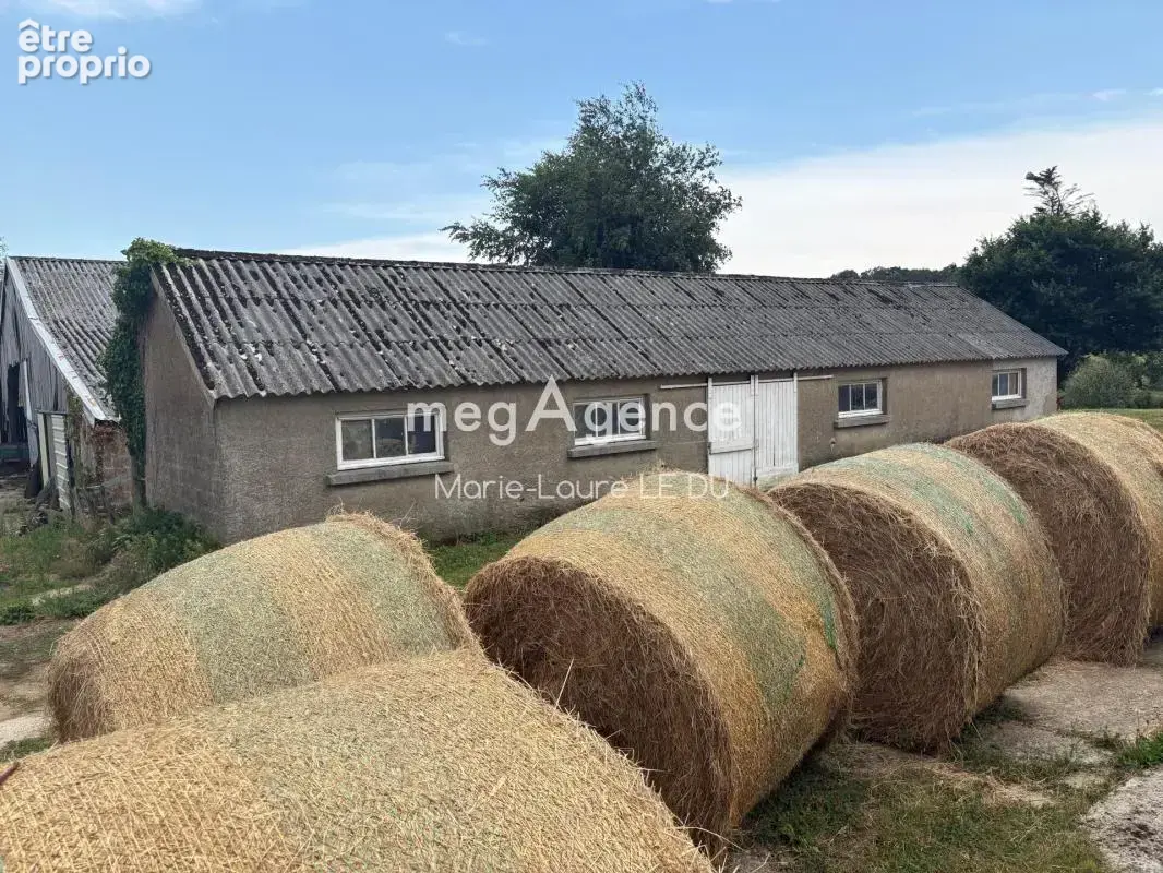 2 Maisons de caractere avec hangars sur terrain 18500m² environ - photo 9
