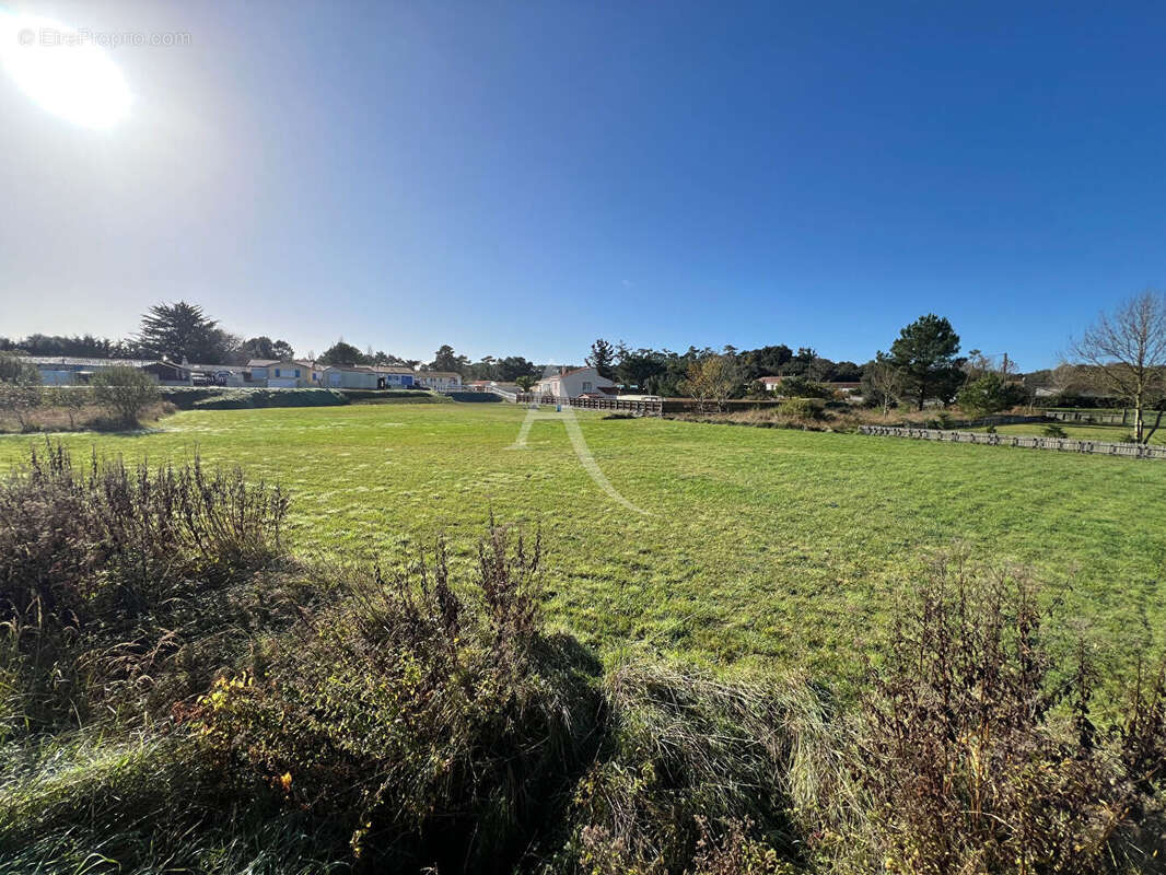 Terrain à LONGEVILLE-SUR-MER