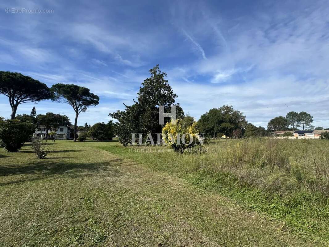 Harmon a vendre : propriété a Magescq - photo 4