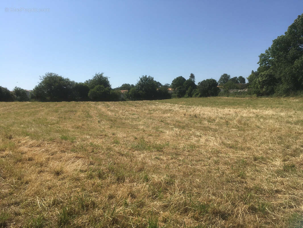 Terrain à SAINT-POMPAIN