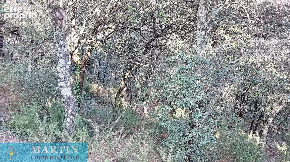 Terrain constructible - photo 7