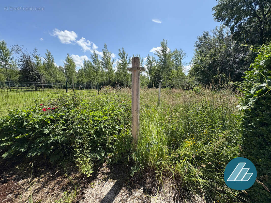 Maison à FROHEN-LE-GRAND