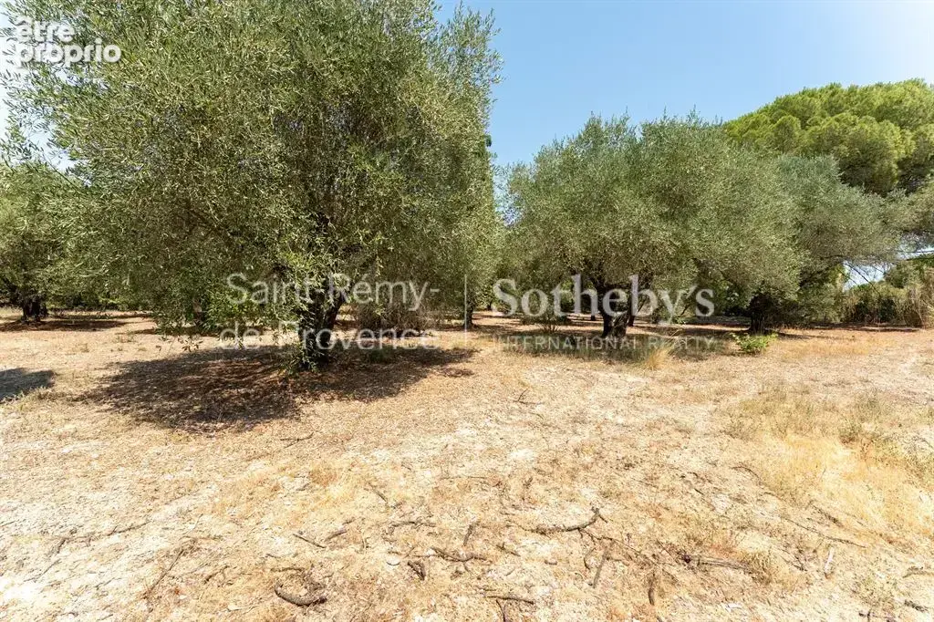 Propriété de plain pied avec piscine à Saint Rémy de Provence, vue sur les Alpilles - photo 19