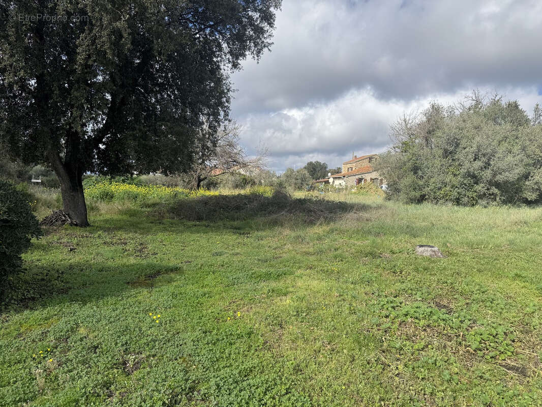 Terrain constructible de 2134 m2 - photo 2