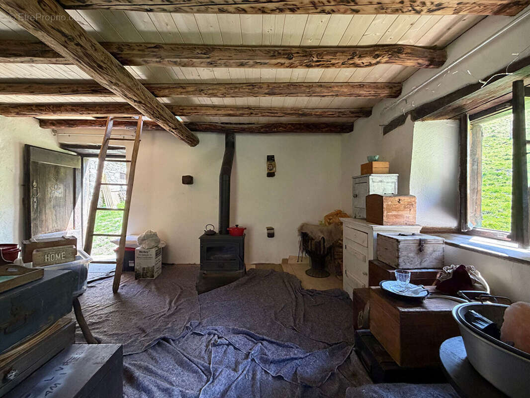 Propriété rurale,3 granges,5 Ha,source,09800 - photo 9