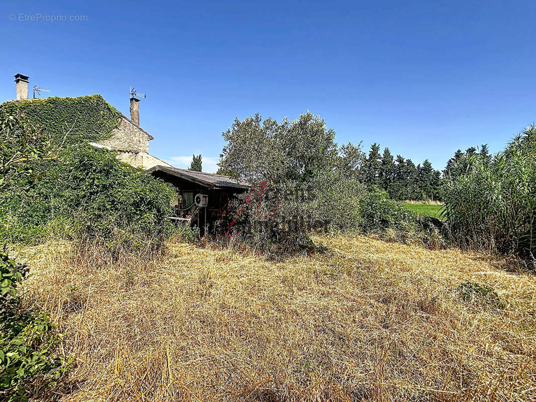Maison à CHEVAL-BLANC