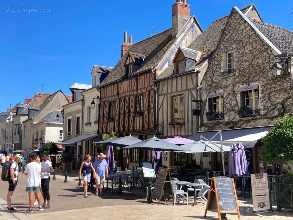 Maison à AMBOISE