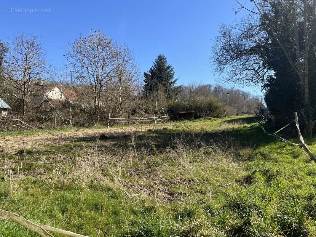 Terrain à RAIZEUX