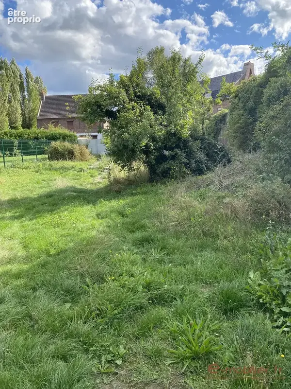Terrain 555 m² à vendre à Phalempin (59133) - photo 2