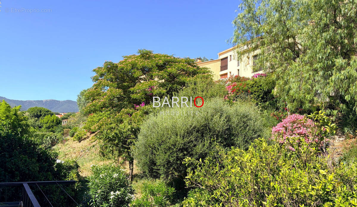Appartement à BANYULS-SUR-MER