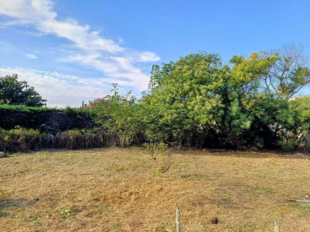 Rare terrain  constructible serignan - photo 3