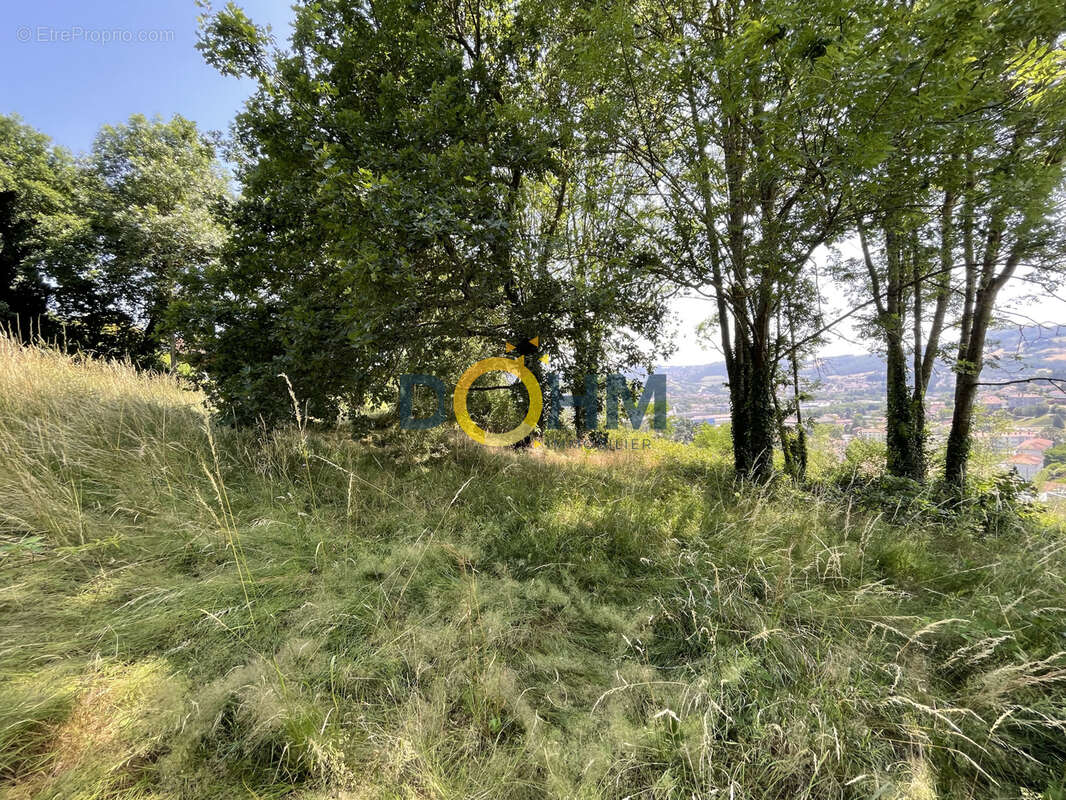 Terrain à UNIEUX