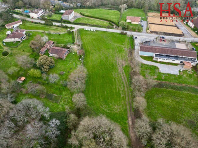 Terrain à BRASSEMPOUY